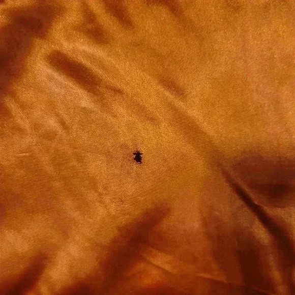 Vintage Coat with Fur Collar - Picture 6 of 9